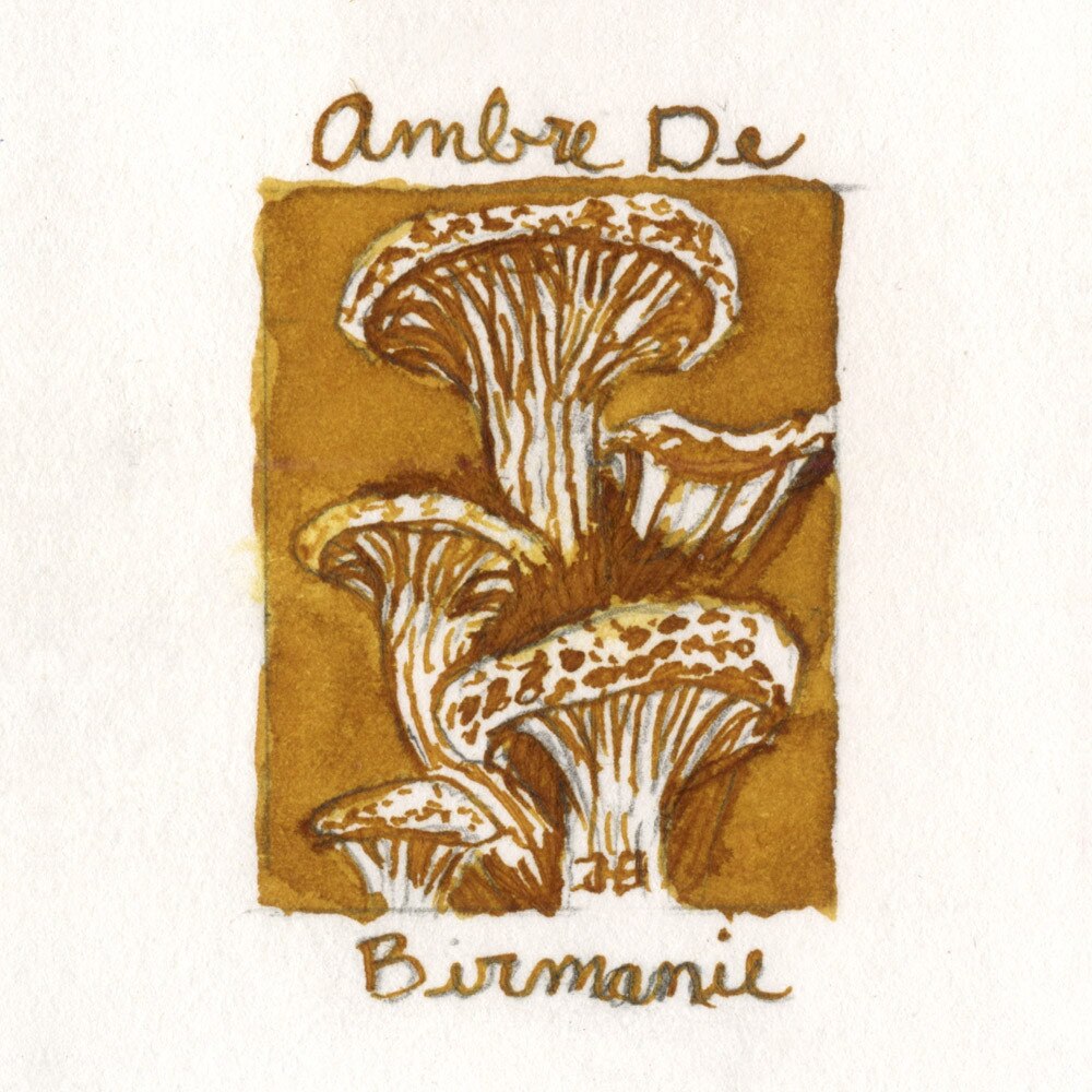 J.Herbin 10ml Fountain Pen Ink Ambre De Birmanie